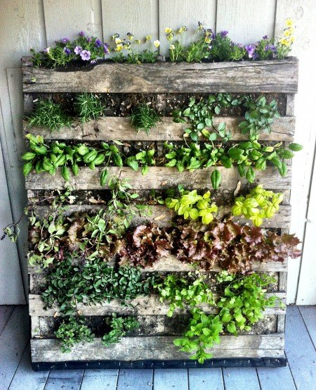 How To Use Pallets For Gardening Pictures to pin on Pinterest