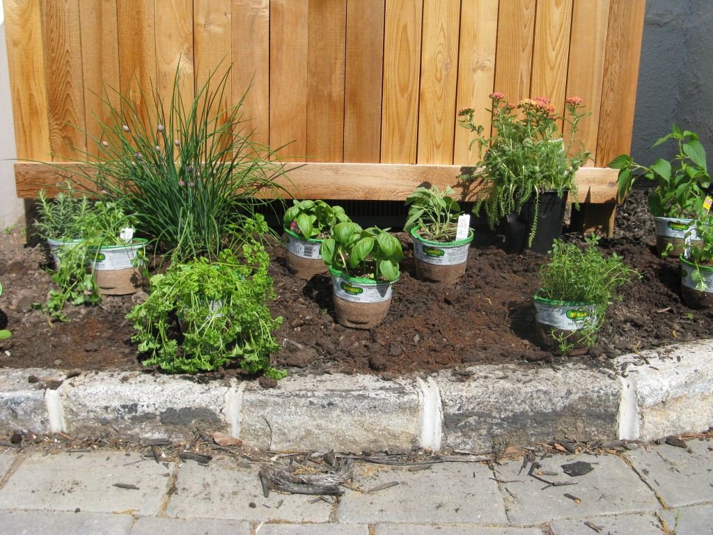Easy Tips In Making An Herb Garden Design Herb Garden Design